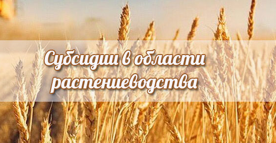 Министерство сельского хозяйства, пищевой и перерабатывающей промышленности Тверской области объявляет о проведении отбора получателей субсидий 
