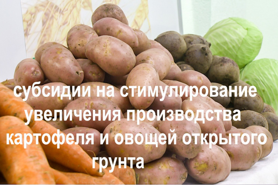 Министерство сельского хозяйства, пищевой и перерабатывающей промышленности Тверской области ОБЪЯВЛЯЕТ о проведении отбора получателей субсидий