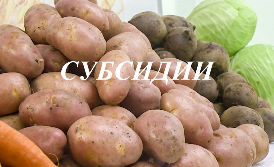 Министерство сельского хозяйства, пищевой и перерабатывающей промышленности Тверской области ОБЪЯВЛЯЕТ о проведении отборов