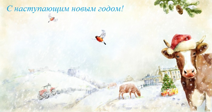Коллектив ГКУ ТО «Центр развития АПК Тверской области» от всей души поздравляет вас с наступающим Новым Годом! 
